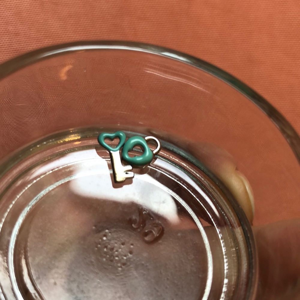 Origami Owl Charms